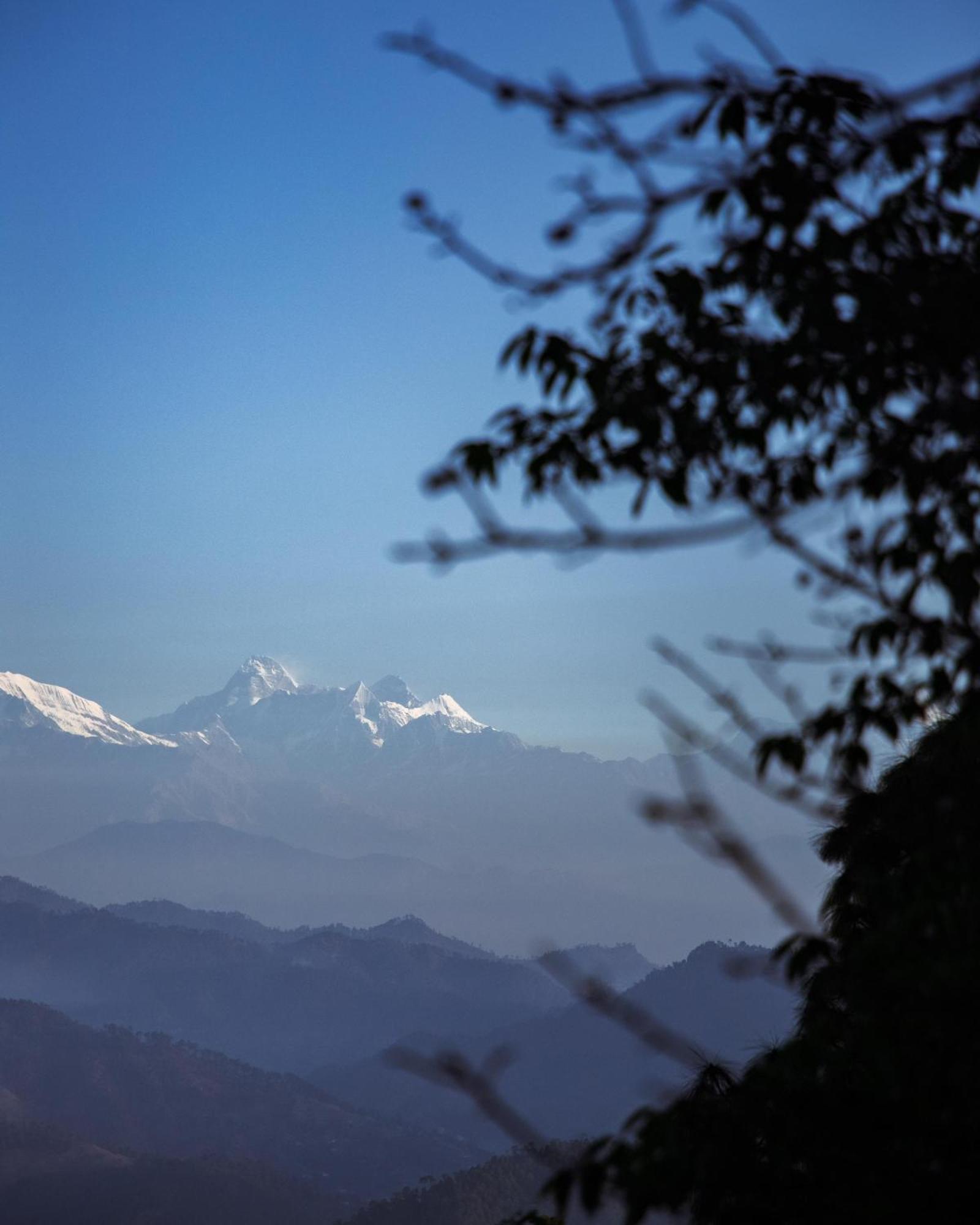 Kasar Himalaya Holiday Resort, Binsar Rd Almora Ngoại thất bức ảnh